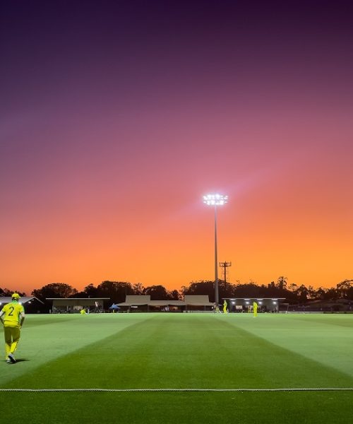 Cricket 365 Sunsetlr
